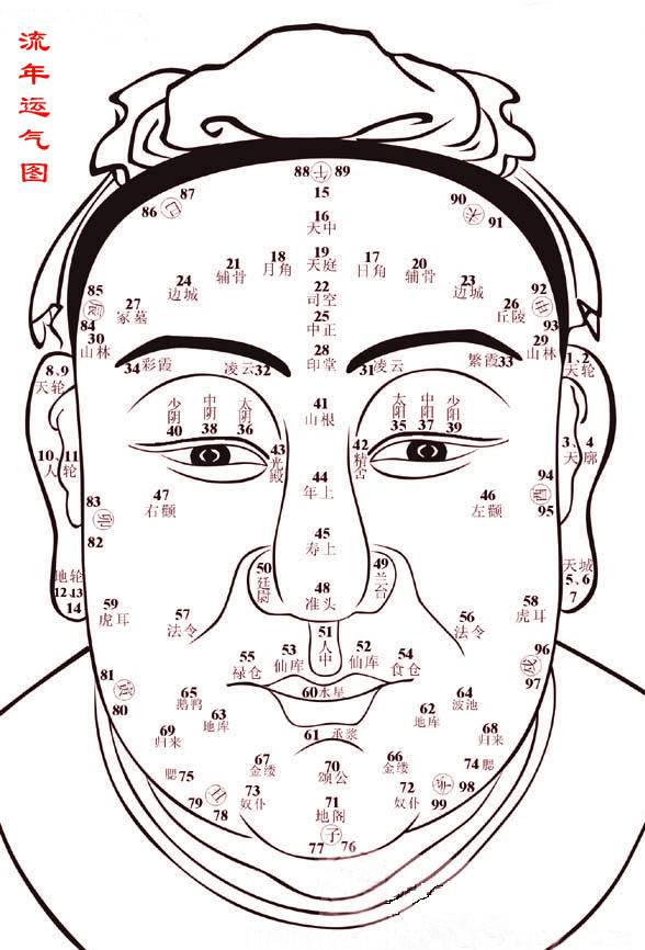 面相流年图,面相百岁流年图解